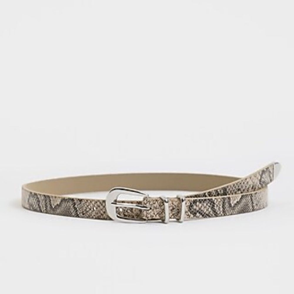 Express Snakeskin Print Belt